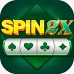 Spin 2x